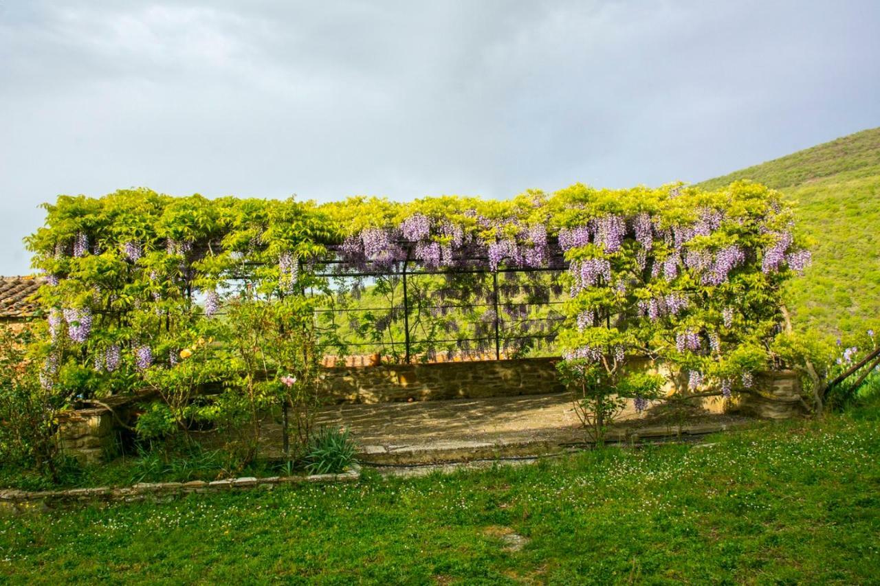 Borgo Solamore Hotel Cortona Exterior photo